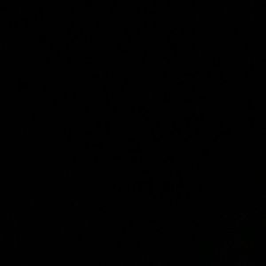 Meet your Posher, Ashlee